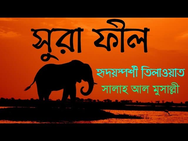 সুরা আল-ফীল | Surah Al Fil by Salah al mussaly | Bangla translation/subtitle | HTR