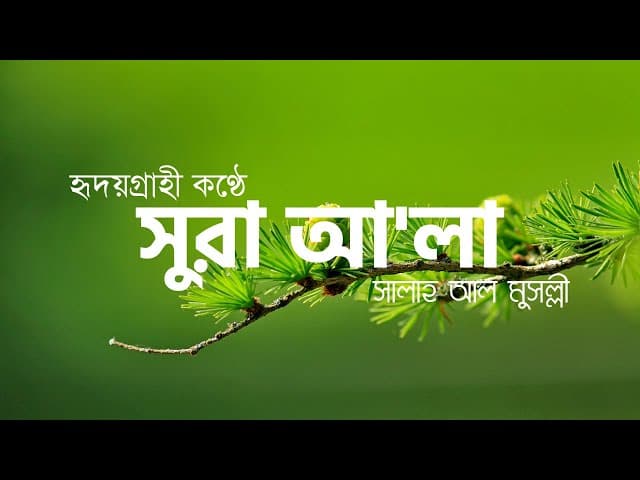 সুরা আ'লা ┇ Surah Al A'la (The most high) Recited by Salah Mussaly ┇ HTR