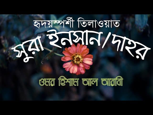 হৃদয়গ্রাহী তিলাওয়াত ┇ সুরা ইনসান/দাহর ┇ bangla subtitle/translation ┇ Omar hisham al arabi