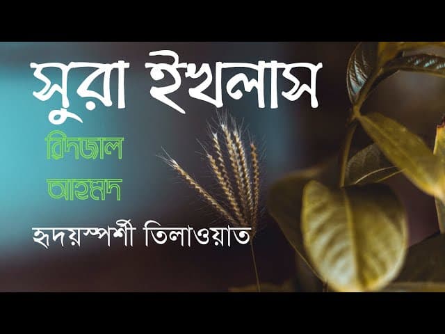 সুরা ইখলাস ┇ বাংলা অনুবাদ/সাবটাইটেল ┇ surah al-ikhlas ┇ bangla translation/subtitle